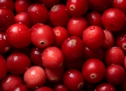 蔓越莓的9种功效、蔓越莓益生菌如何选择、4个禁忌须知